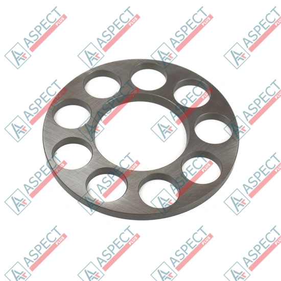 Retainer Plate Bosch Rexroth R902205484 SKS