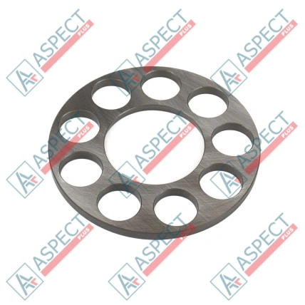 Plaque de maintien Bosch Rexroth R902205484 SKS