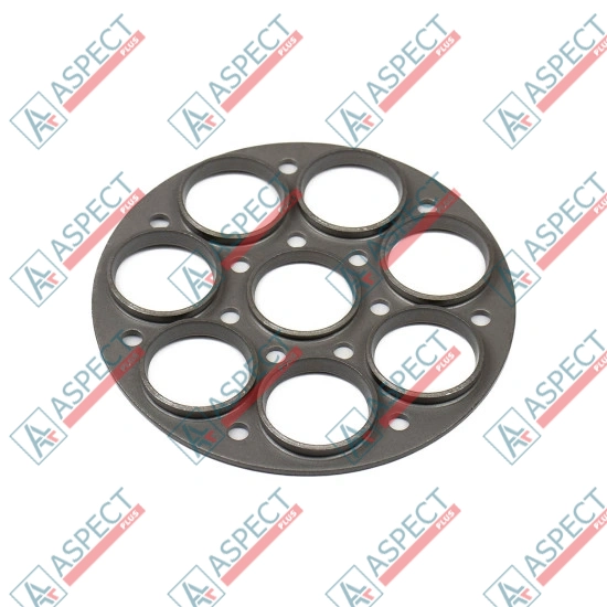 Retainer Plate Bosch Rexroth R902024999 SKS