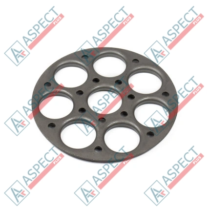 Placa de retención Bosch Rexroth R902024999 SKS