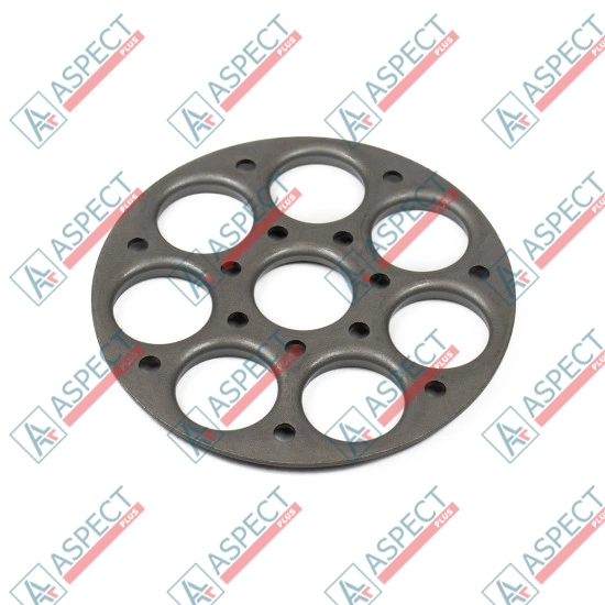 Retainer Plate Bosch Rexroth R902024999 SKS