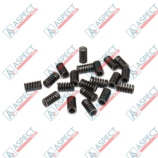 Spring of Ball guide Bosch Rexroth R902400658 SKS