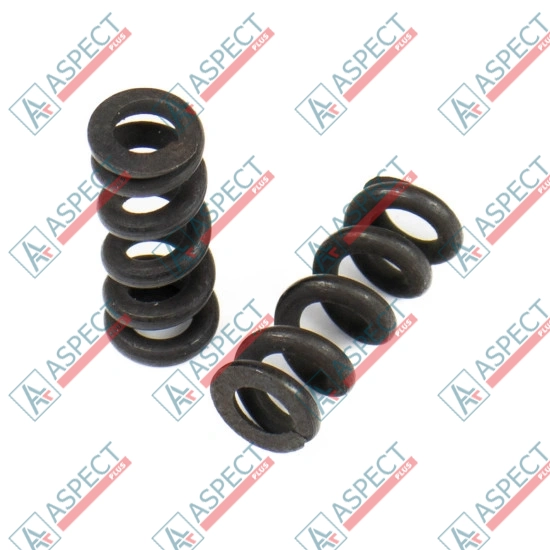 Spring for Center Pin Bosch Rexroth R902027213 SKS