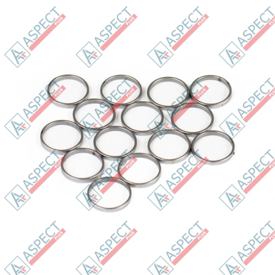 Piston Ring Bosch Rexroth R909831880 SKS