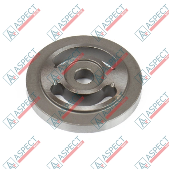 Valve plate Motor Bosch Rexroth R909650824 SKS