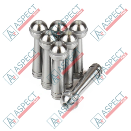 Piston Bosch Rexroth R902021918 SKS
