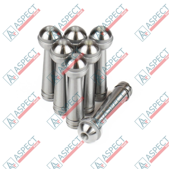 Piston Bosch Rexroth R902021918 SKS