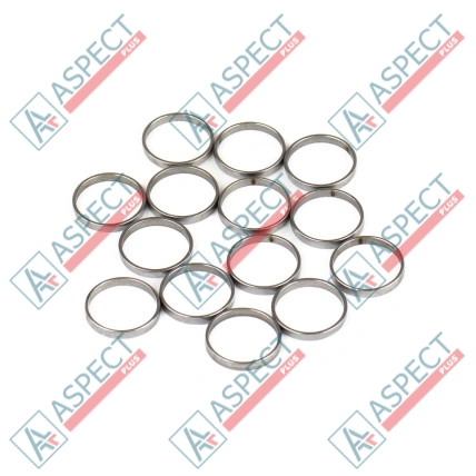 Bague de piston Bosch Rexroth R909831881 SKS