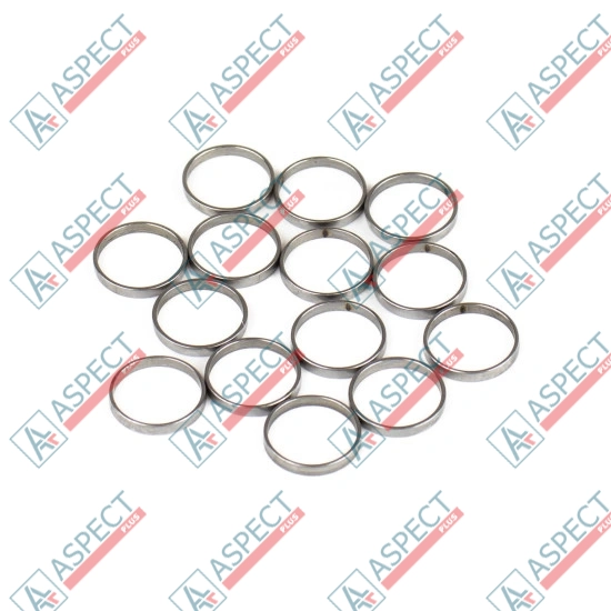Piston Ring Bosch Rexroth R909831881 SKS