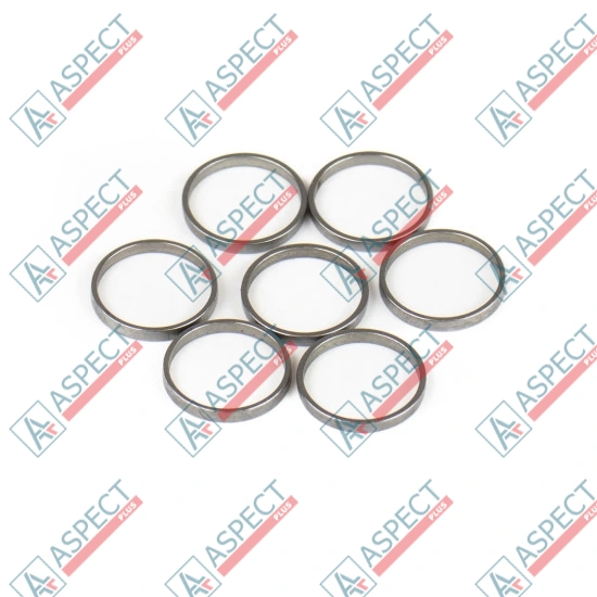 Piston Ring Bosch Rexroth R909831882 SKS