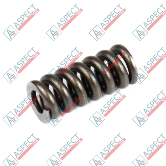 Пружина центрального пальца Bosch Rexroth R902027486 SKS