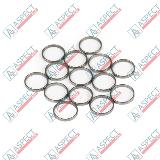 Piston Ring Bosch Rexroth R909831884 SKS