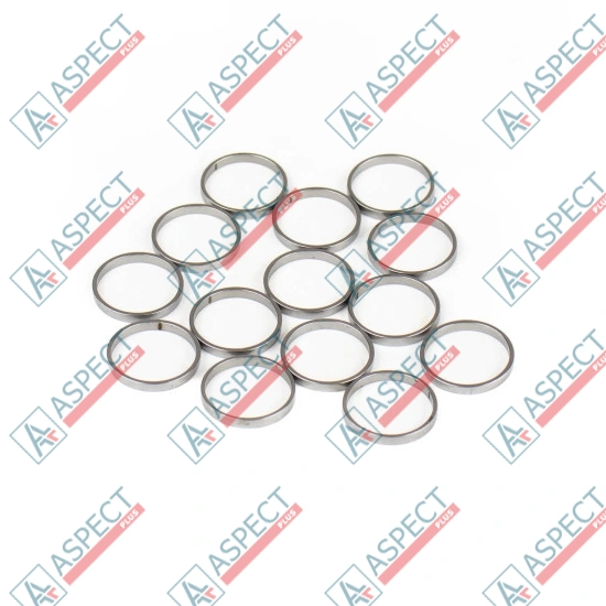 Кольцо плунжера Bosch Rexroth R909831885 SKS