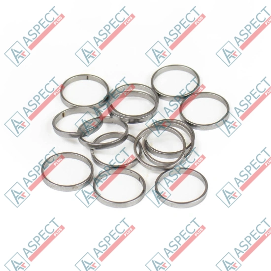 Кольцо плунжера Bosch Rexroth R909831885 SKS