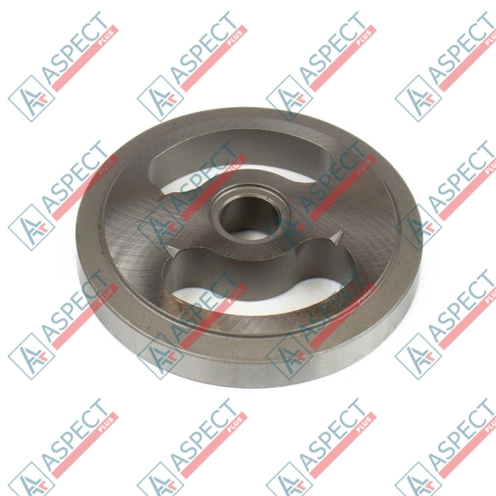 Valve plate Motor Bosch Rexroth R909650829 SKS