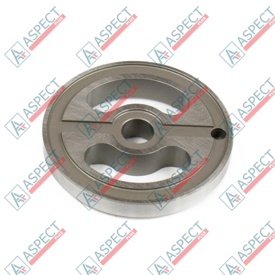 Valve plate Motor Bosch Rexroth R909650829 SKS