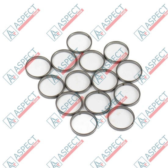 Piston Ring Bosch Rexroth R909831887 SKS