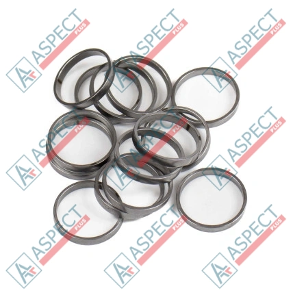 Bague de piston Bosch Rexroth R909831887 SKS