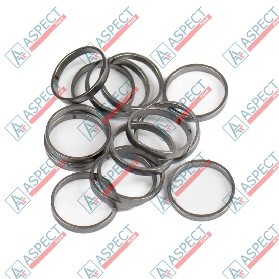 Piston Ring Bosch Rexroth R909831887 SKS
