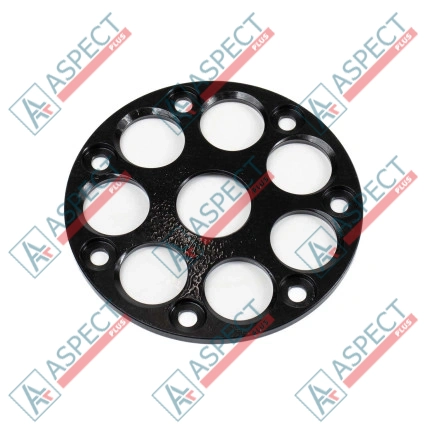 Plaque de maintien Bosch Rexroth R909444063 SKS