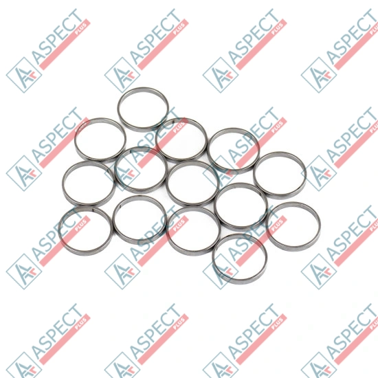 Piston Ring Bosch Rexroth R909831888 SKS
