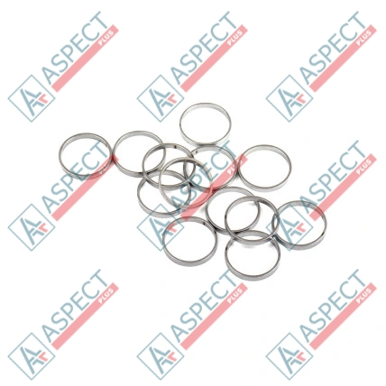 Anillo del pistón Bosch Rexroth R909831888 SKS