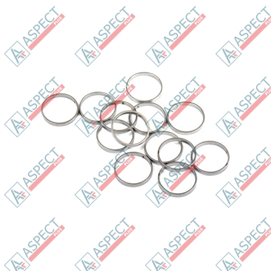Piston Ring Bosch Rexroth R909831888 SKS