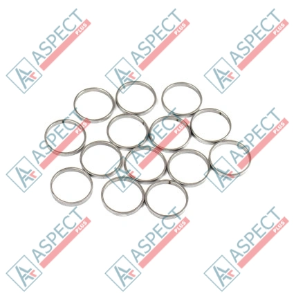 Inel piston Bosch Rexroth R909831889 SKS