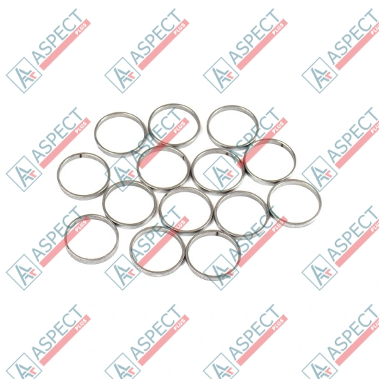 Piston Ring Bosch Rexroth R909831889 SKS