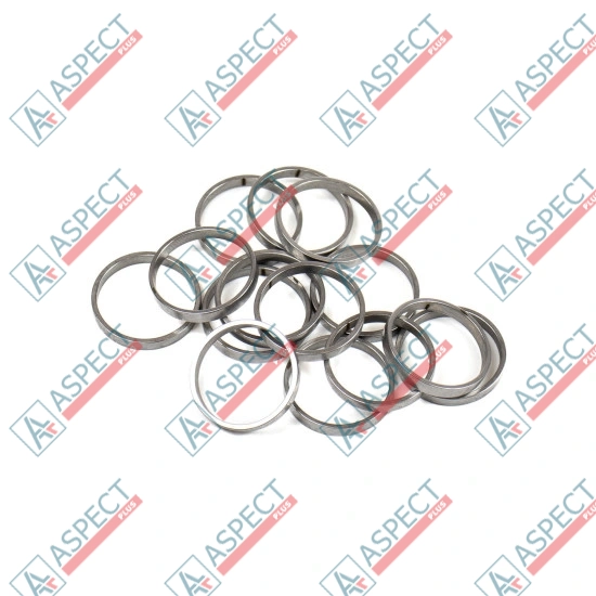 Piston Ring Bosch Rexroth R909831889 SKS