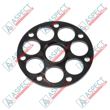 Plaque de maintien Bosch Rexroth R909439986 SKS