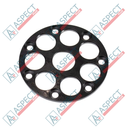Plaque de maintien Bosch Rexroth R909439986 SKS