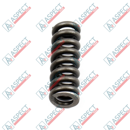 Spring for Center Pin Bosch Rexroth R902027353 SKS