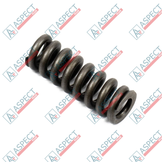 Spring for Center Pin Bosch Rexroth R902027353 SKS