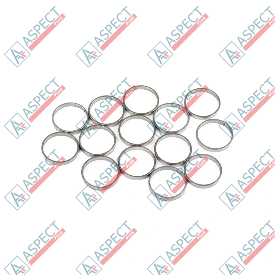 Piston Ring Bosch Rexroth R909831891 SKS