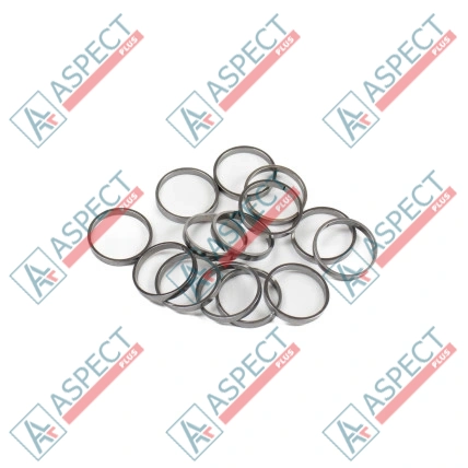 Bague de piston Bosch Rexroth R909831891 SKS