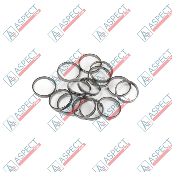 Piston Ring Bosch Rexroth R909831891 SKS