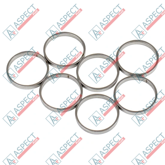 Piston Ring Bosch Rexroth R909831892 SKS