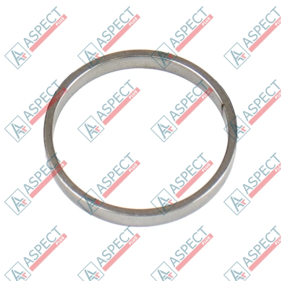 Piston Ring Bosch Rexroth R909831892 SKS