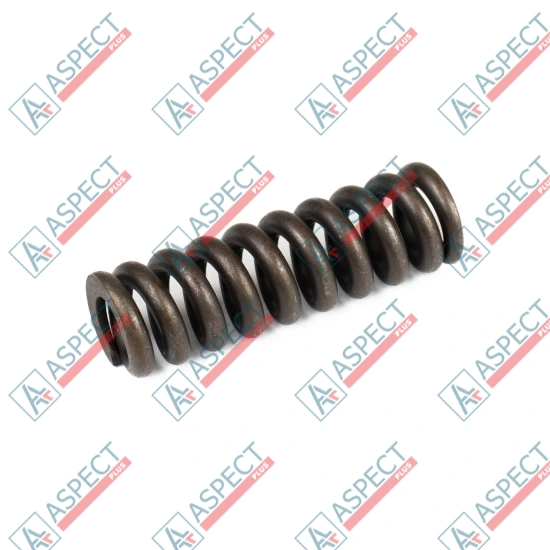 Spring for Center Pin Bosch Rexroth R902028820 SKS