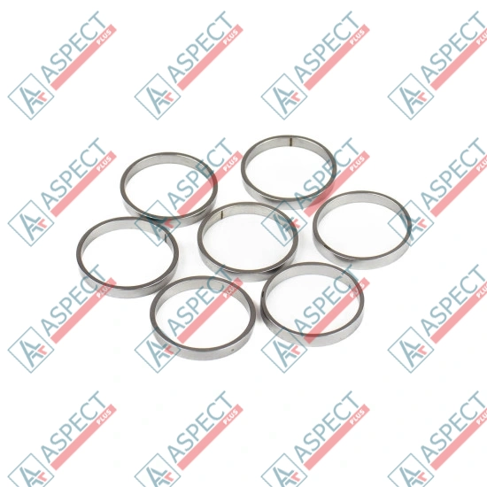 Piston Ring Bosch Rexroth R909831894 SKS