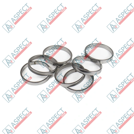 Piston Ring Bosch Rexroth R909831894 SKS