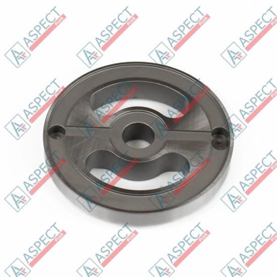 Valve plate Motor Bosch Rexroth R909650838 SKS