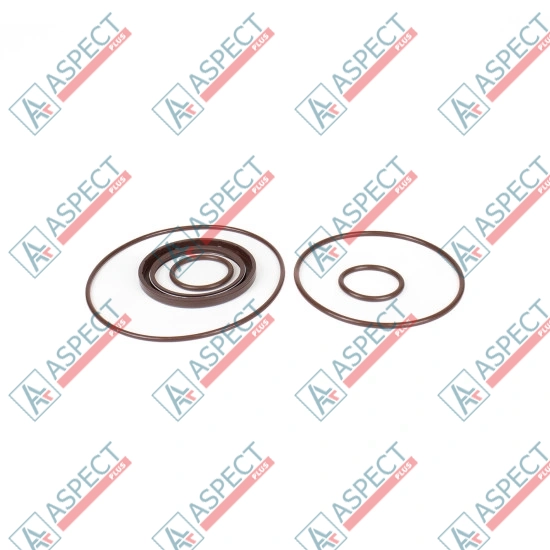 Seal kit pump Bosch Rexroth R902002220 SKS