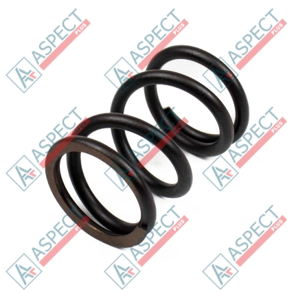 Ressort du rotor Bosch Rexroth LSP0156 SKS