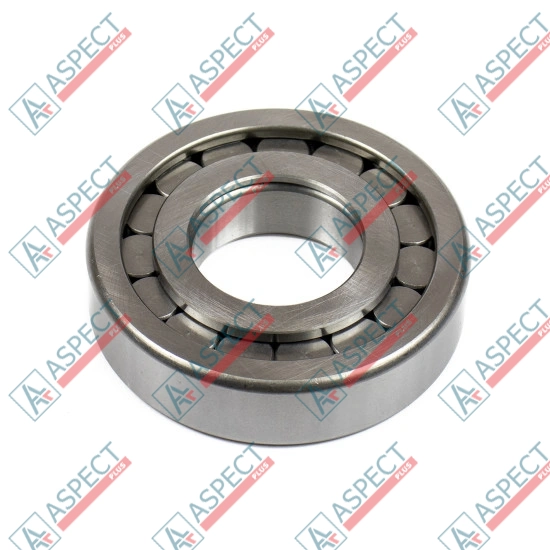 Roller Bearing Bosch Rexroth R902603908 AFM