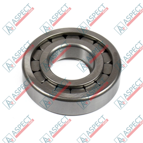 Roller Bearing Bosch Rexroth R902603908 AFM