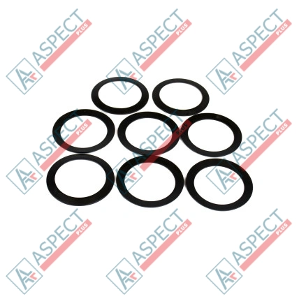Ressort de disque Hitachi 4289874 SKS