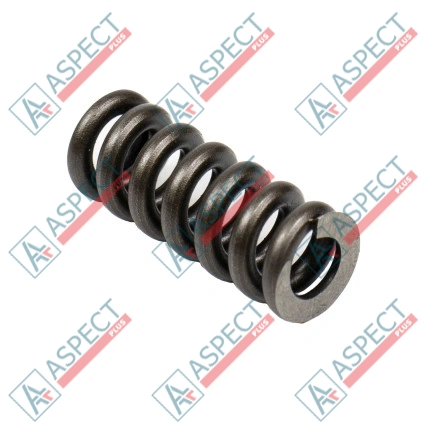 Muelle del pasador central Bosch Rexroth R902028810 SKS