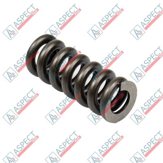 Spring for Center Pin Bosch Rexroth R902028810 SKS